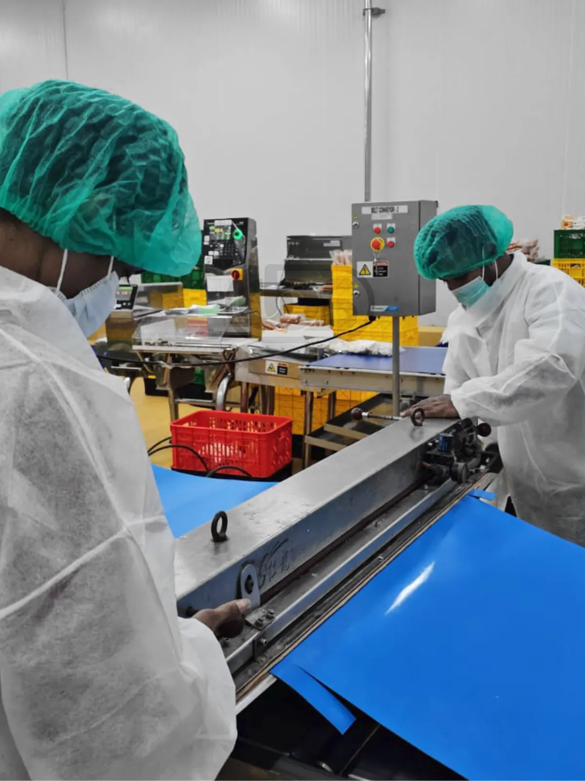 Dua teknisi BBS Conveyor menyambung belt biru dengan mesin press portabel di lantai produksi pelanggan